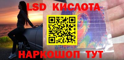 шишки Ярославль