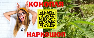 шишки Ярославль